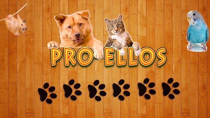 Corte de orejas y cola en los animales