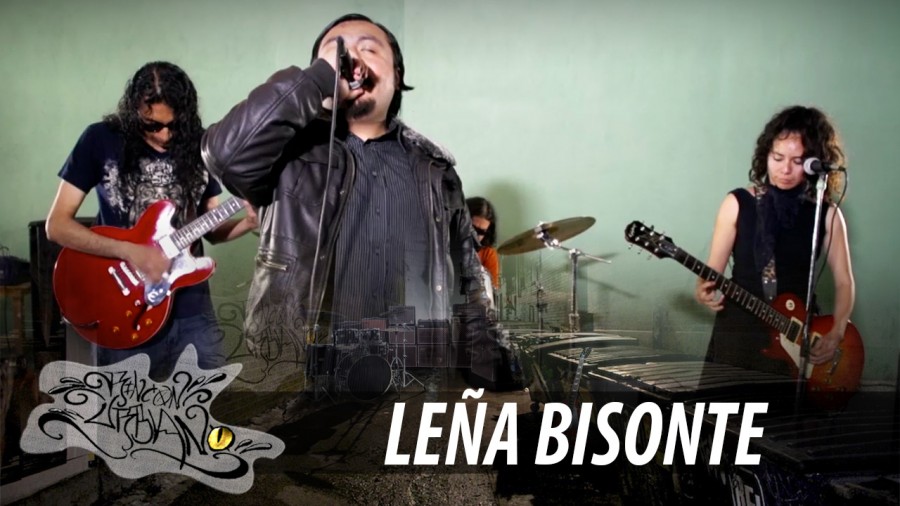 Leña Bisonte - Rincón Urbano 