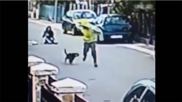 VIDEO DE PERRO QUE FRUSTRA ASALTO SE VUELVE TENDENCIA MUNDIAL