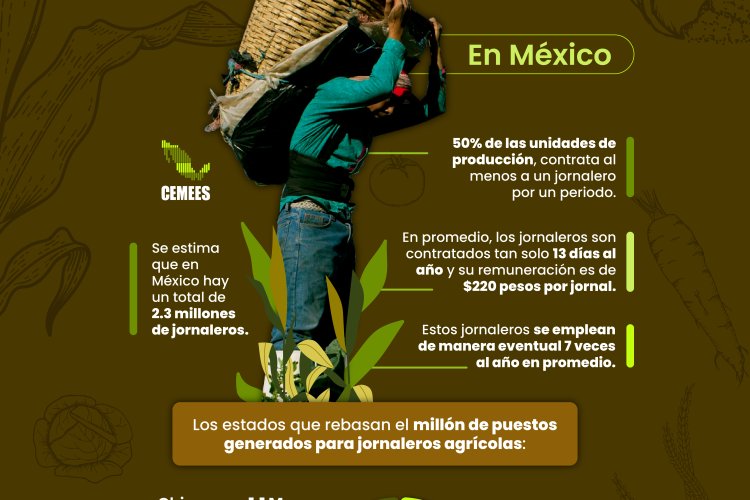 Los Jornaleros en México