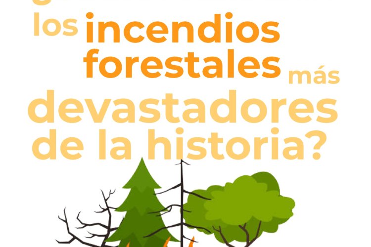 Infografía: Los incendios forestales más devastadores de la historia