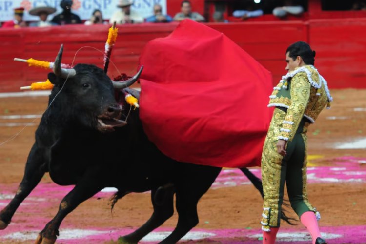 Diputados de la CDMX aprueban en lo general corridas de toros sin violencia