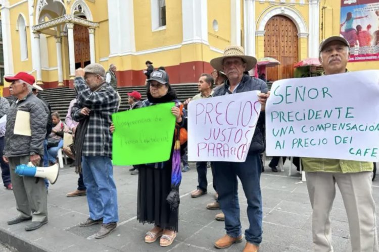Cafetaleros de Veracruz denuncian abuso de compañías bajo el pretexto de aranceles