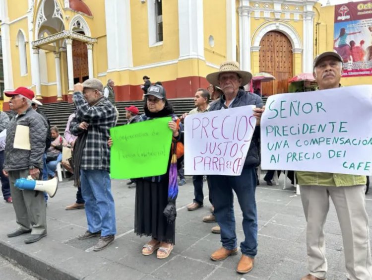 Cafetaleros de Veracruz denuncian abuso de compañías bajo el pretexto de aranceles