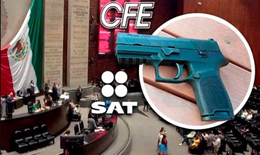 Aprueban que empleados de CFE, Pemex y otras instituciones porten armas de fuego