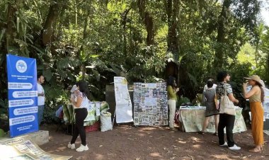 Ambientalistas acusan omisión por falta de resolución a denuncias contra autoridades municipales