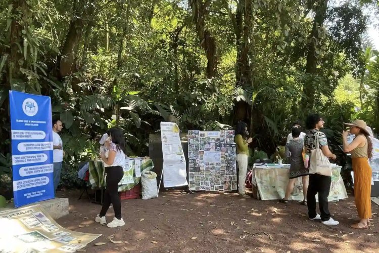 Ambientalistas acusan omisión por falta de resolución a denuncias contra autoridades municipales