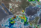 Tormenta tropical Dalila afecta siete estados del país