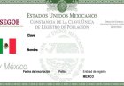Con nueva Ley de Telecomunicaciones solicitarán CURP para contratar internet