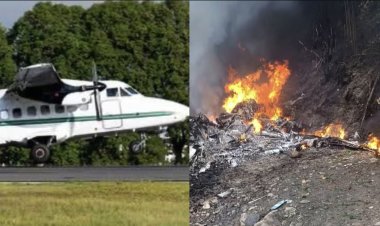 Avioneta que hacía tareas contra gusano barrenador en Chiapas se desploma; no hubo sobrevivientes