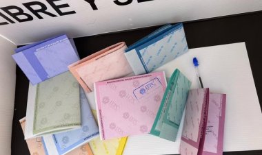 No recomiendan replicar modelo de elección judicial de México en otro país