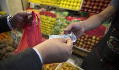 Economía precaria, falta de vivienda y desempleo frenan natalidad en México: Informe