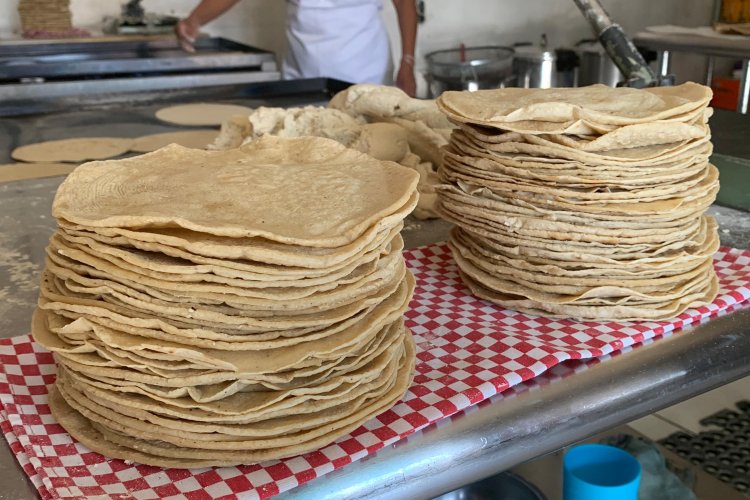 Entra en vigor acuerdo para reducir precio de la tortilla a nivel nacional