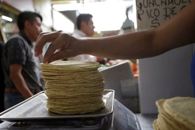 Advierten que acuerdo para disminuir precio de la tortilla será un problema para Sheinbaum