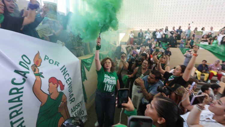 Legisladora “le da billetes a diputada del PVEM” por cambiar su voto sobre aborto en Guanajuato