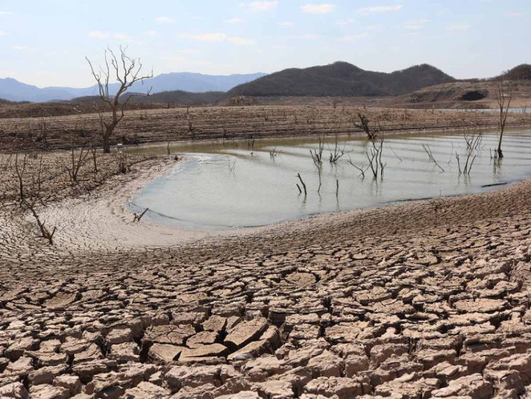 Antorchistas piden a Sheinbaum declarar a Sinaloa zona de desastre por sequía