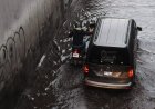 Intensas lluvias dejan más de 20 árboles caídos y varios encharcamientos en la CDMX
