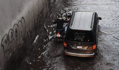 Intensas lluvias dejan más de 20 árboles caídos y varios encharcamientos en la CDMX