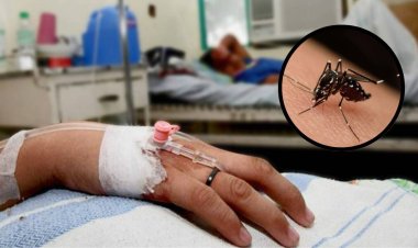 En lo que va de 2025 han muerto más de 300 personas por dengue en México