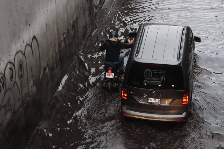 Intensas lluvias dejan más de 20 árboles caídos y varios encharcamientos en la CDMX