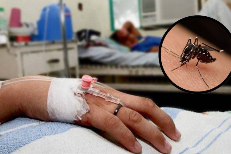 En lo que va de 2025 han muerto más de 300 personas por dengue en México
