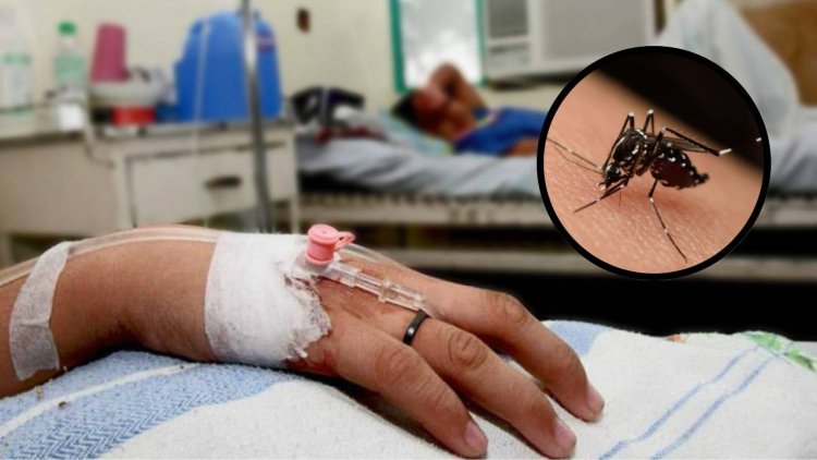 En lo que va de 2025 han muerto más de 300 personas por dengue en México