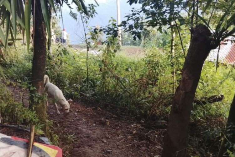 Hayan cuerpo de recién nacido en Mixtla de Altamirano, Veracruz