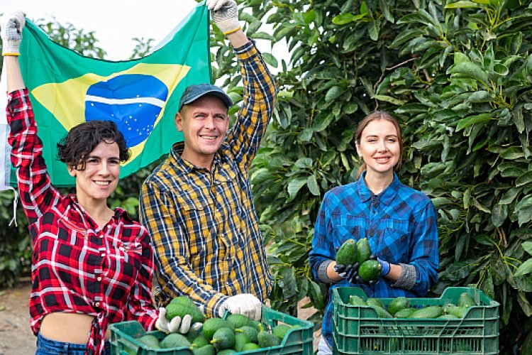 Brasil lanza un nuevo programa de microcrédito rural para apoyar a los agricultores familiares