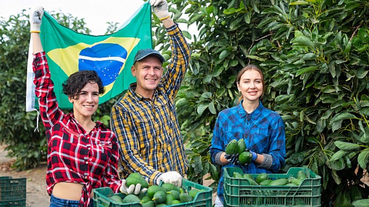 Brasil lanza un nuevo programa de microcrédito rural para apoyar a los agricultores familiares