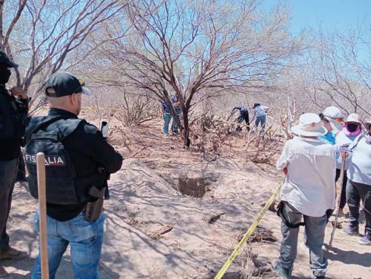 Suman 66 cuerpos encontrados en fosas clandestinas de BCS