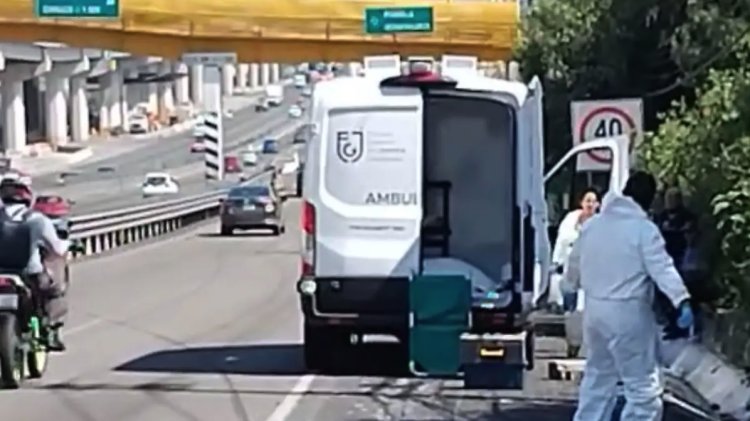 Ciclista muere atropellado en la autopista México-Puebla; conductor huyó del lugar