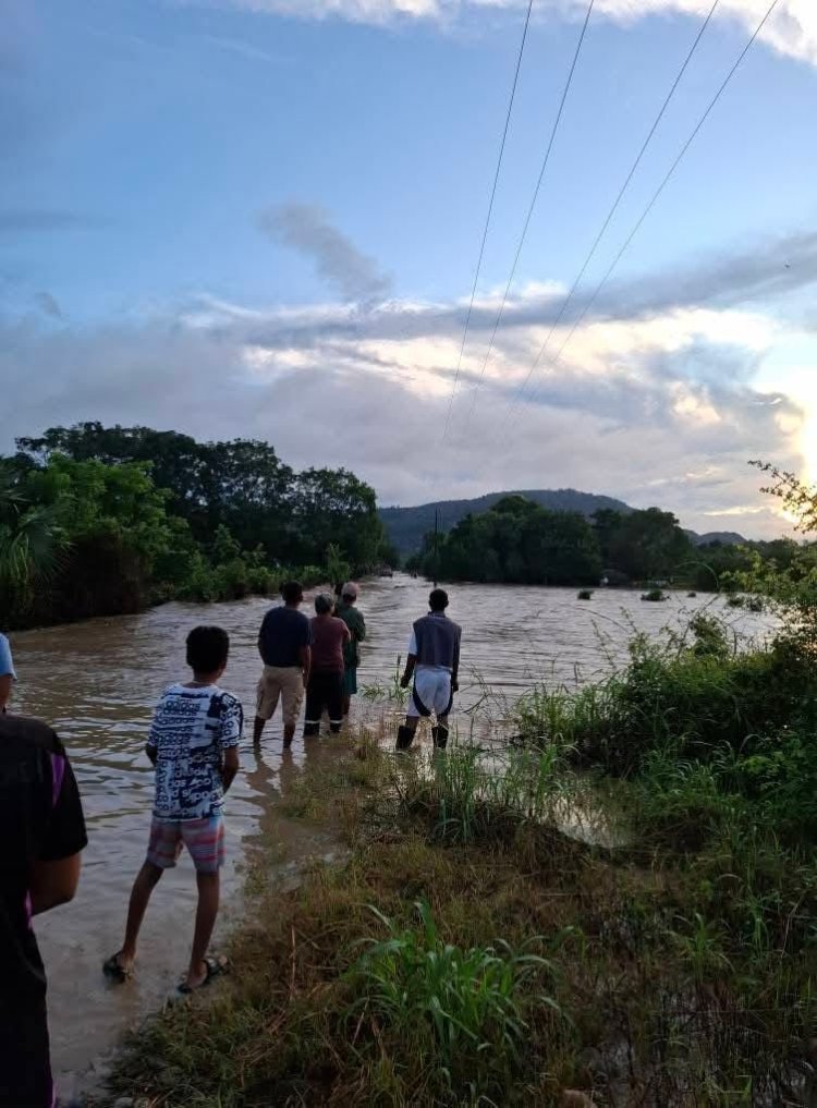 Suman 64 fallecidos y más de 60 desaparecidos en cinco estados por intensas lluvias