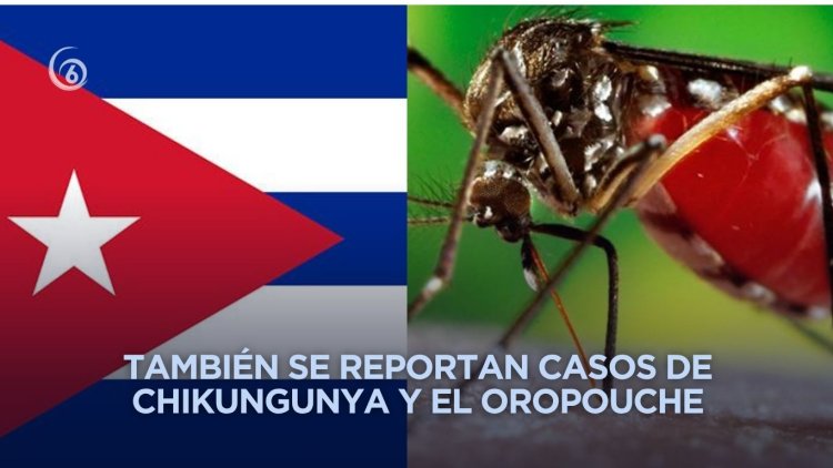 Cuba en alerta sobre aparición de formas graves de dengue