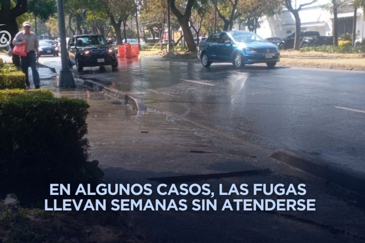 Gobiernos de Edomex y CDMX no reparan fugas de agua pese a constantes denuncias