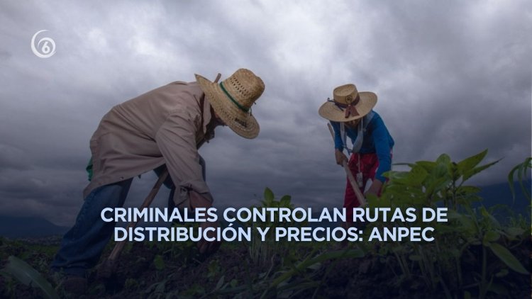 Extorsión a productores encarece directamente la canasta básica en el Estado de México