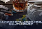 Consumo de drogas crece 40 por ciento en menos de una década en México
