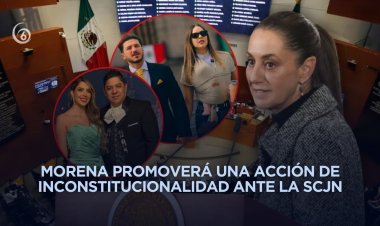 Morena y Verde Ecologista en tensiones por polémica de la “Ley Esposa”