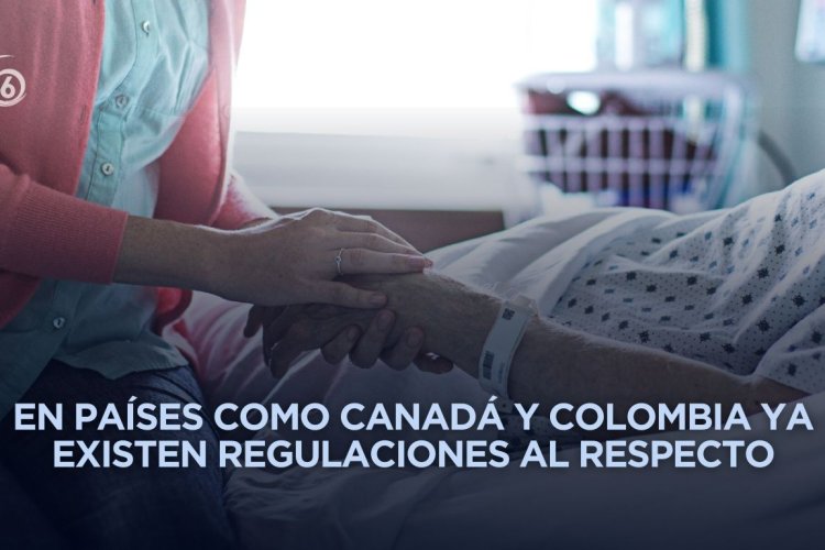 Diputada de Morena propone legalizar eutanasia en México