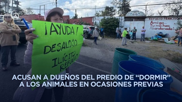 Desalojo del Refugio Franciscano genera preocupación por el destino de cientos de animales