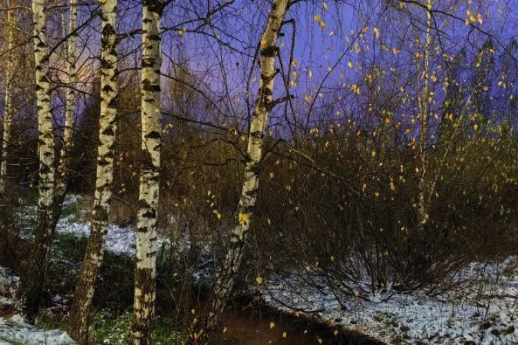 Filólogos y periodistas rusos lanzan un proyecto educativo sobre el desarrollo del espacio euroasiático