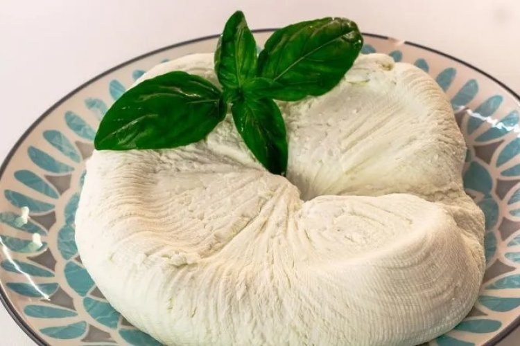 En Rusia desarrollaron un queso especial para fortalecer el sistema inmunológico