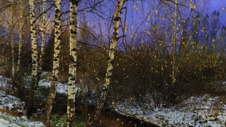 Filólogos y periodistas rusos lanzan un proyecto educativo sobre el desarrollo del espacio euroasiático