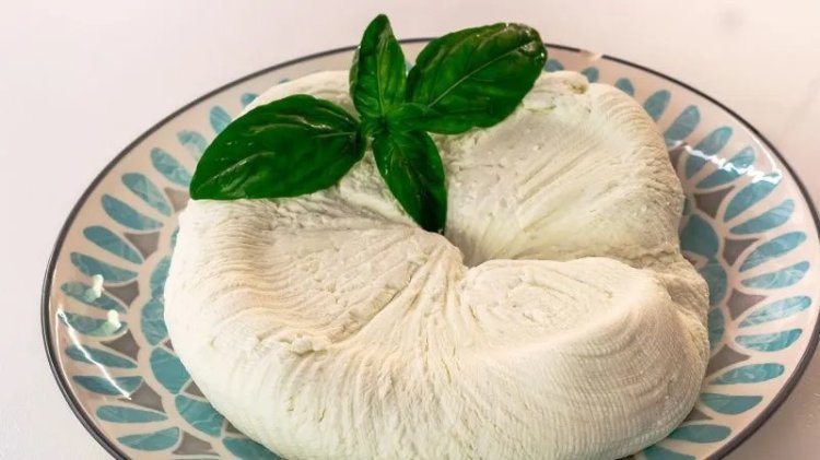 En Rusia desarrollaron un queso especial para fortalecer el sistema inmunológico