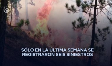 Más de 51 incendios forestales se han registrado en Veracruz en 2026