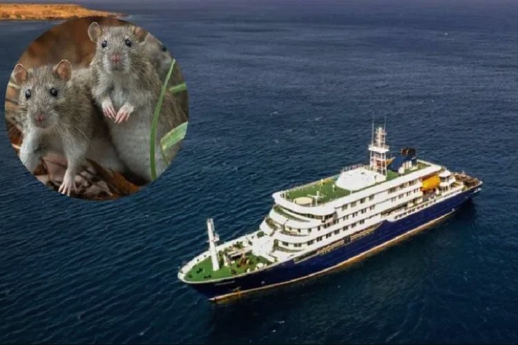 Secretario General de ONU dice que brote de hantavirus no representa una amenaza seria