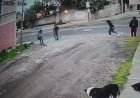 Estudiantes sufren asalto a mano armada en Toluca; video exhibe el modus operandi de los delincuentes
