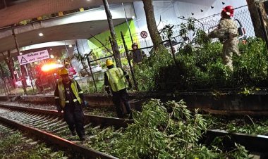 Tren ligero suspende servicio por segunda ocasión en menos de dos días
