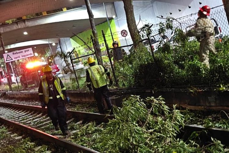 Tren ligero suspende servicio por segunda ocasión en menos de dos días