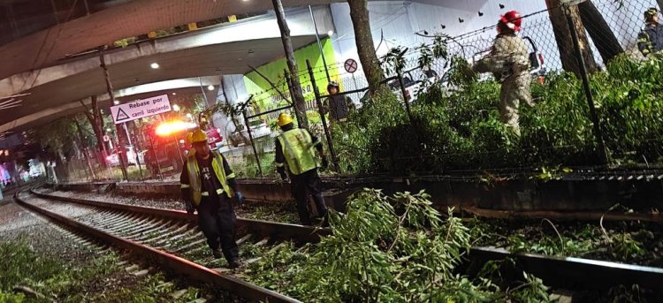 Tren ligero suspende servicio por segunda ocasión en menos de dos días