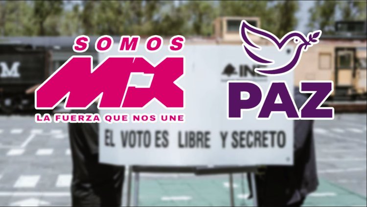INE niega registro a dos nuevo partidos mientras otros dos serán constituidos